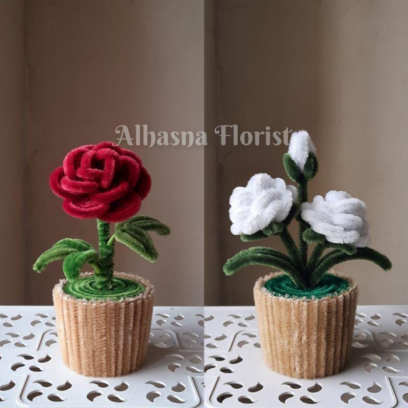 Red & white flower